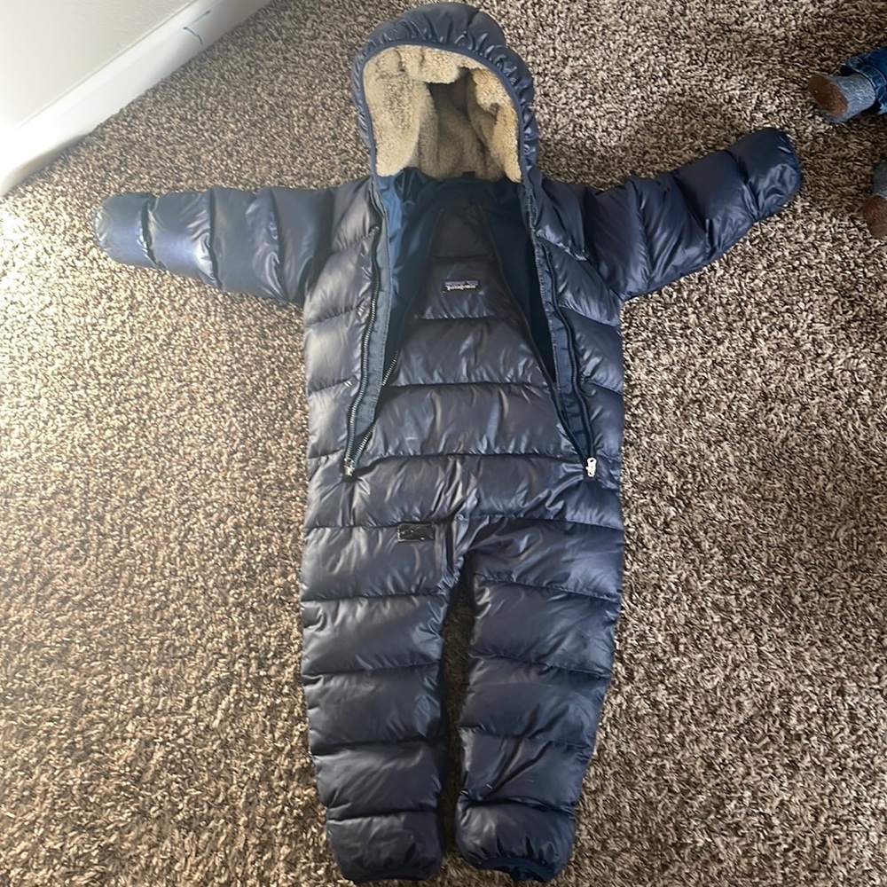 Patagonia bunting